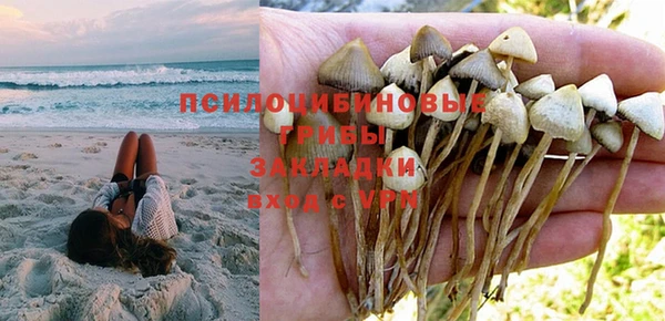прущая мука Абаза