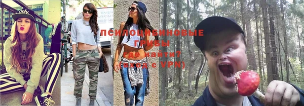 дмт Алзамай