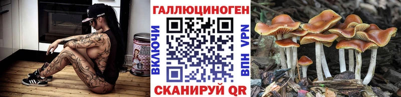 Галлюциногенные грибы Magic Shrooms Ирбит
