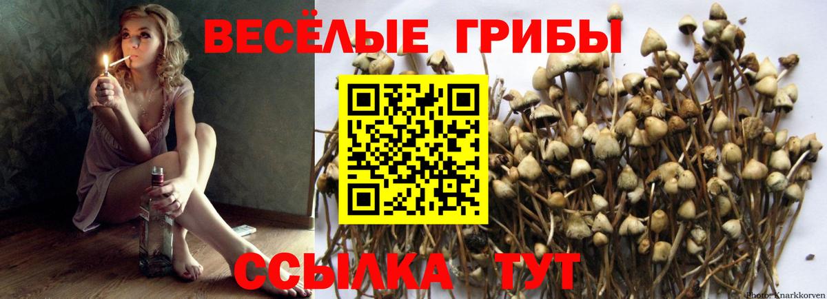 Ирбит  Псилоцибиновые грибы Psilocybe  Вход с VPN  Галлюциногенные грибы ЛСД 